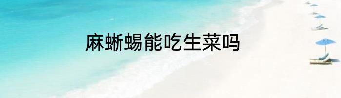 麻蜥蜴能吃生菜吗