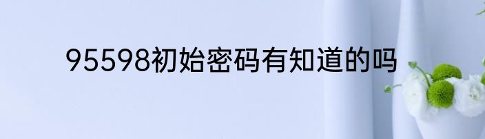 95598初始密码有知道的吗