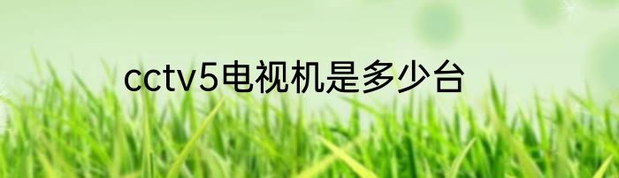 cctv5电视机是多少台