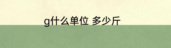 g什么单位 多少斤
