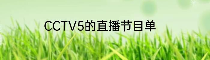 CCTV5的直播节目单