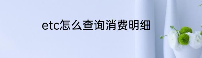 etc怎么查询消费明细
