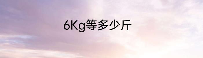 6Kg等多少斤