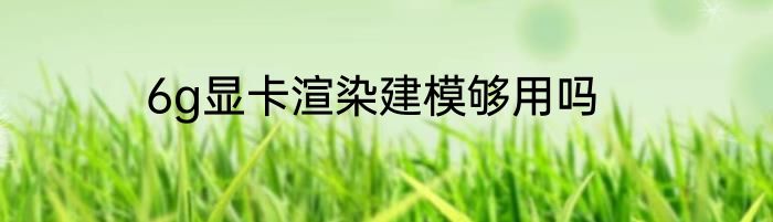 6g显卡渲染建模够用吗