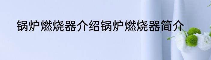 锅炉燃烧器介绍锅炉燃烧器简介