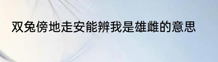 双兔傍地走安能辨我是雄雌的意思