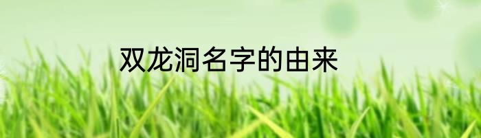 双龙洞名字的由来
