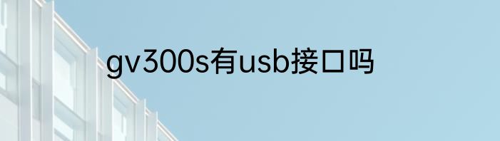 gv300s有usb接口吗