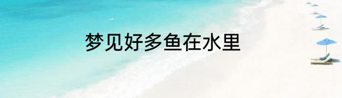 梦见好多鱼在水里