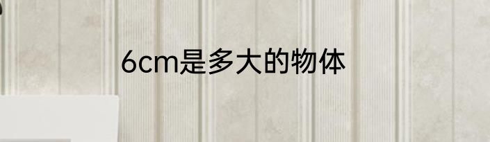 6cm是多大的物体
