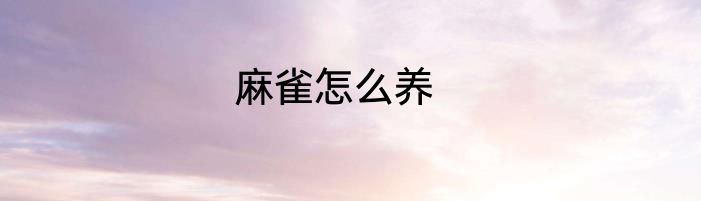 麻雀怎么养