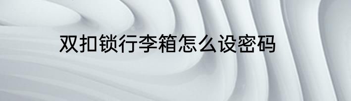 双扣锁行李箱怎么设密码