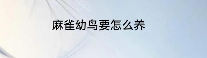 麻雀幼鸟要怎么养