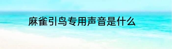 麻雀引鸟专用声音是什么