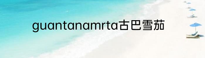 guantanamrta古巴雪茄