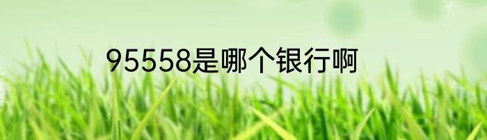 95558是哪个银行啊