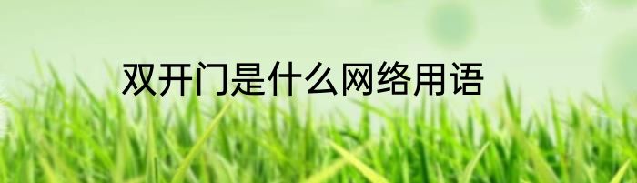 双开门是什么网络用语
