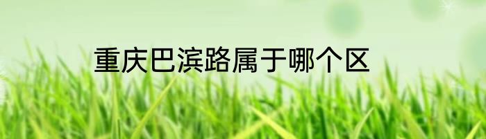 重庆巴滨路属于哪个区