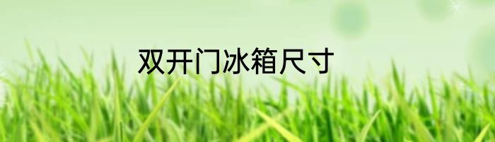 双开门冰箱尺寸