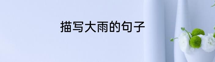 描写大雨的句子