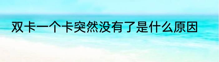 双卡一个卡突然没有了是什么原因