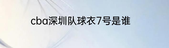 cba深圳队球衣7号是谁