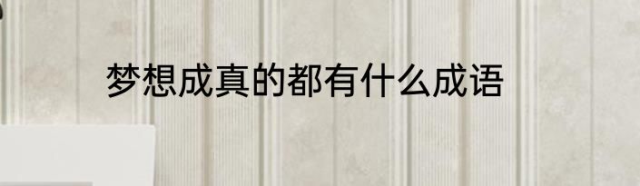 梦想成真的都有什么成语