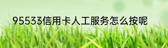 95533信用卡人工服务怎么按呢