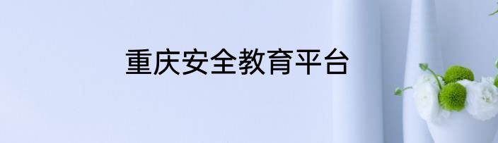 重庆安全教育平台