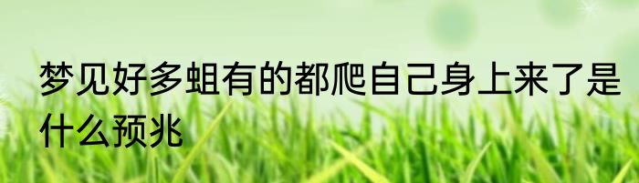 梦见好多蛆有的都爬自己身上来了是什么预兆