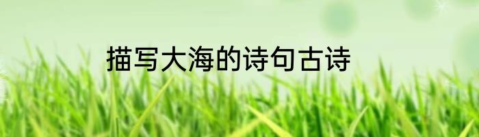 描写大海的诗句古诗