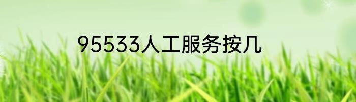 95533人工服务按几