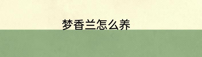 梦香兰怎么养