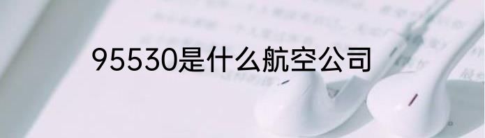 95530是什么航空公司