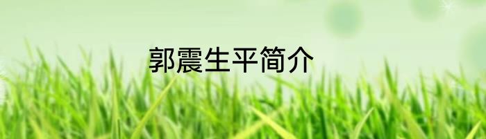 郭震生平简介