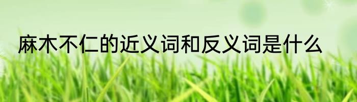 麻木不仁的近义词和反义词是什么