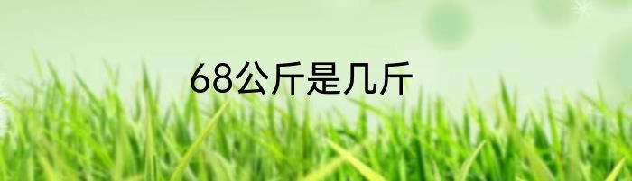 68公斤是几斤