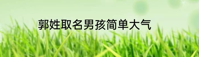 郭姓取名男孩简单大气