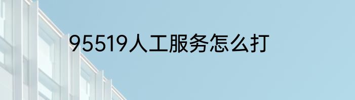 95519人工服务怎么打