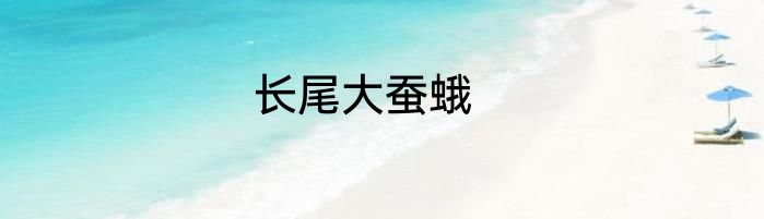 长尾大蚕蛾