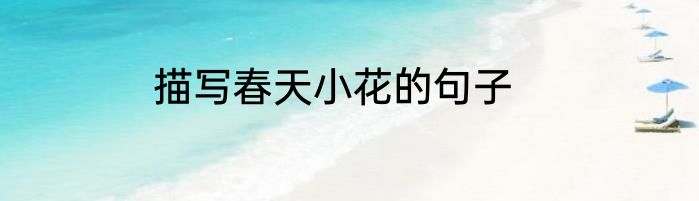 描写春天小花的句子
