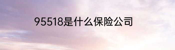95518是什么保险公司