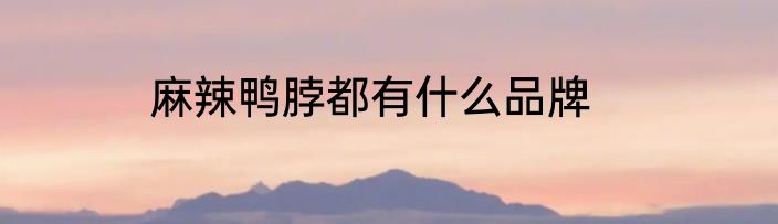 麻辣鸭脖都有什么品牌