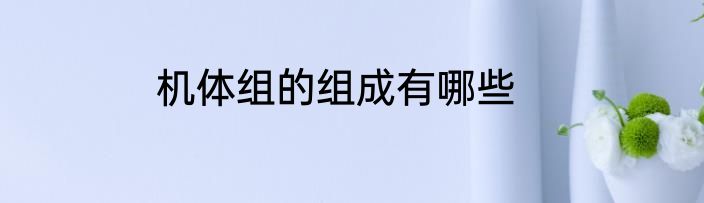 机体组的组成有哪些