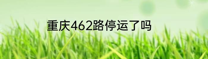重庆462路停运了吗