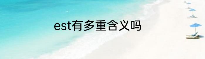 est有多重含义吗