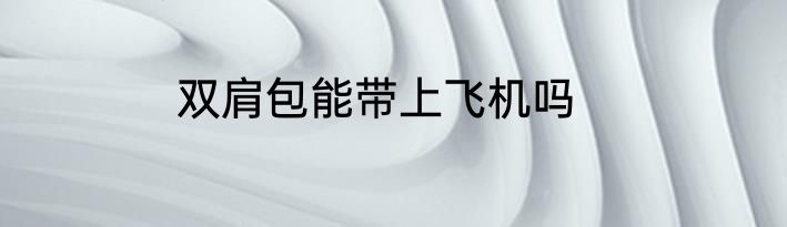 双肩包能带上飞机吗