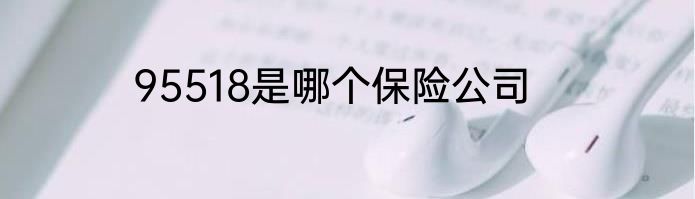 95518是哪个保险公司