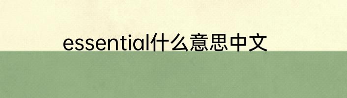 essential什么意思中文