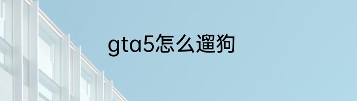 gta5怎么遛狗